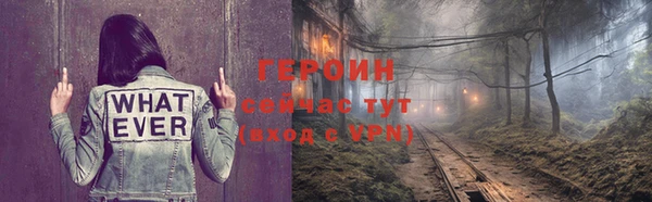 индика Карпинск