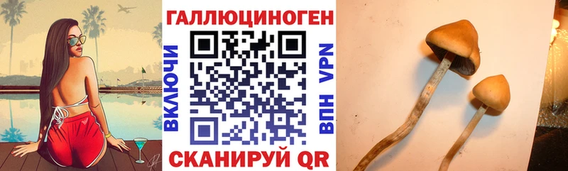 купить наркотик Городовиковск МЕГА tor Галлюциногенные грибы Cubensis