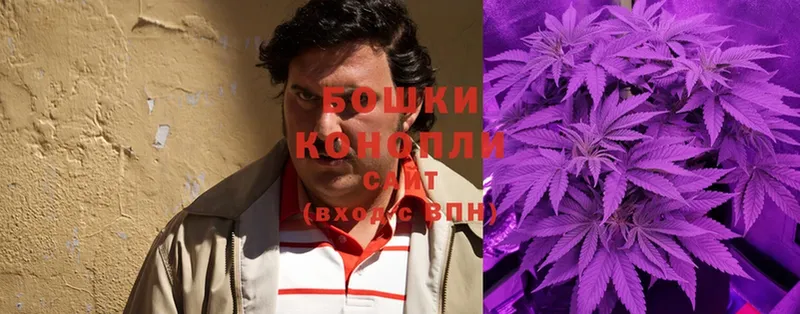 Конопля SATIVA & INDICA  сколько стоит  Городовиковск 